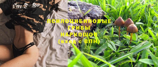 молекула духа Вязники