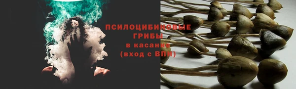 молекула духа Вязники