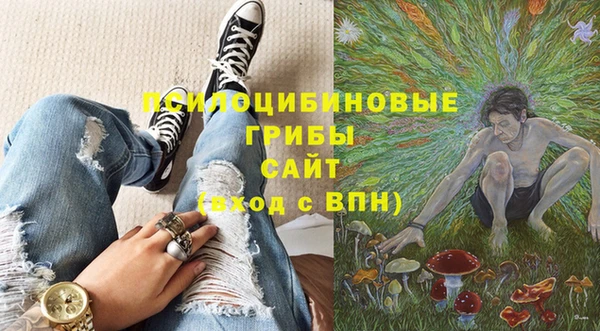 молекула духа Вязники