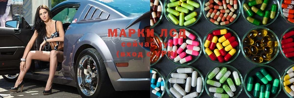 ГАЛЛЮЦИНОГЕННЫЕ ГРИБЫ Вязьма