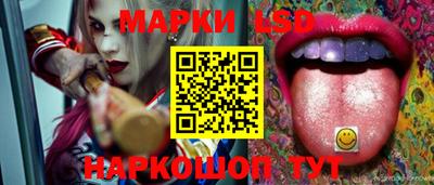 СК Пугачёв