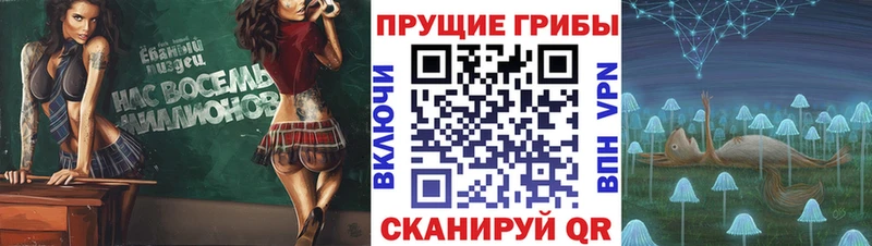 Псилоцибиновые грибы Psilocybine cubensis  где найти наркотики  Снежинск 