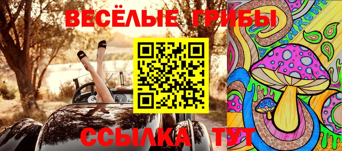 Псилоцибиновые грибы Cubensis Снежинск