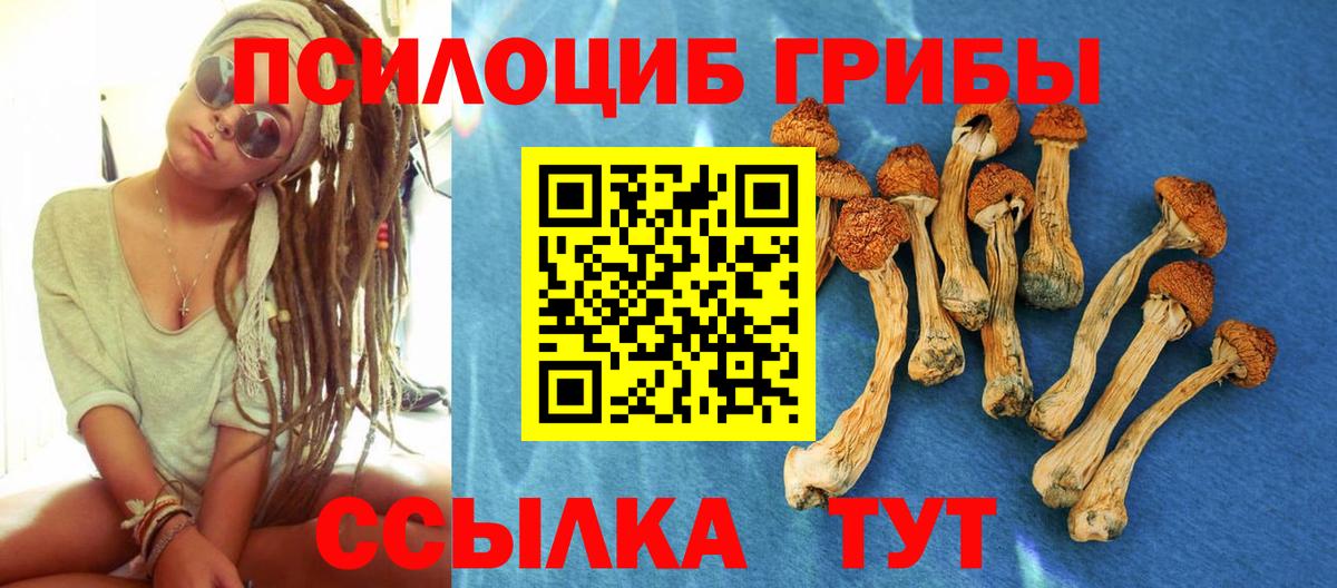Снежинск  Галлюциногенные грибы мицелий  Вход с VPN  Галлюциногенные грибы мицелий 